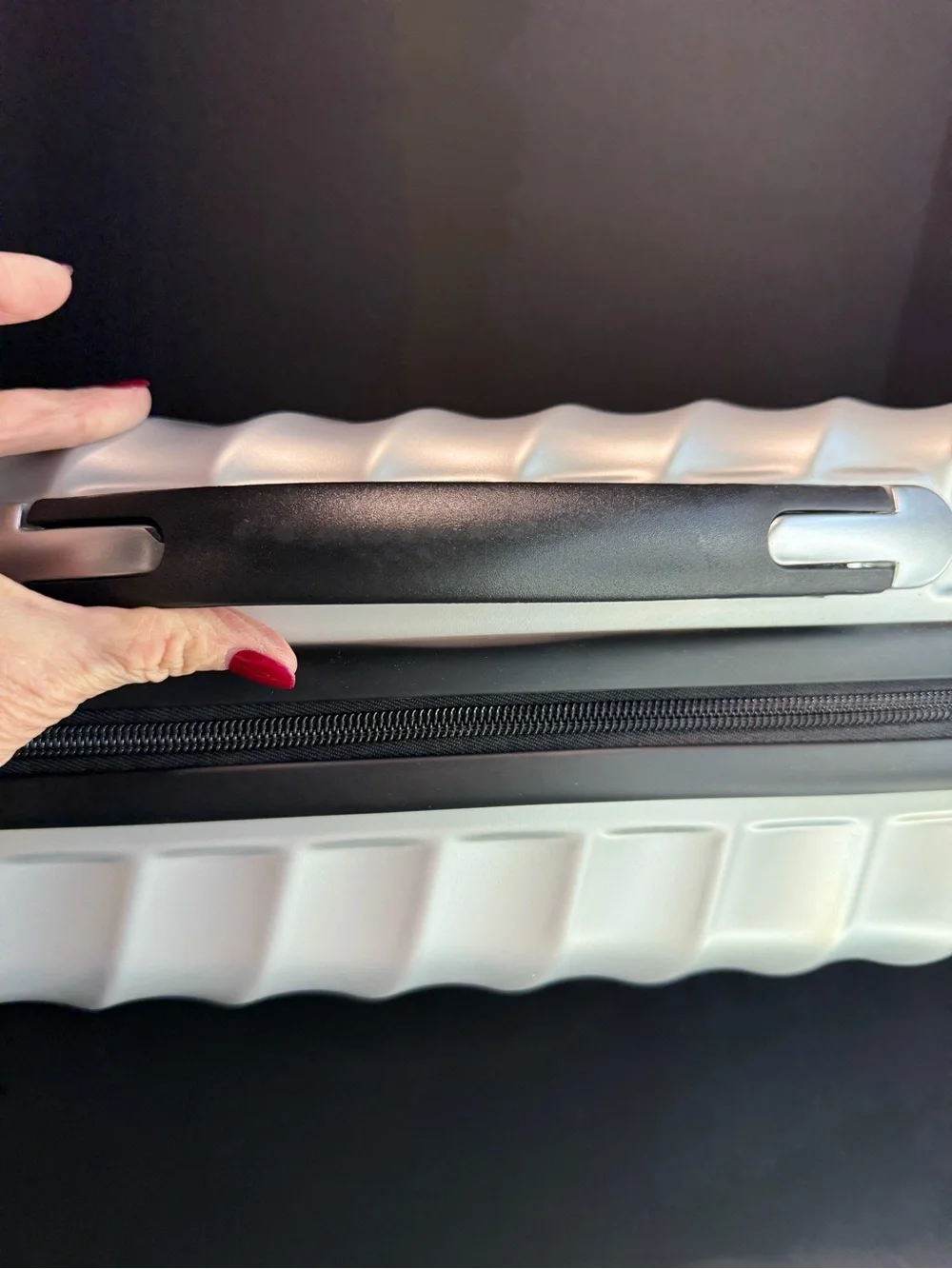 Richway BioMat Mini 7000MX Replacement Hardshell Travel Case Only – Silver